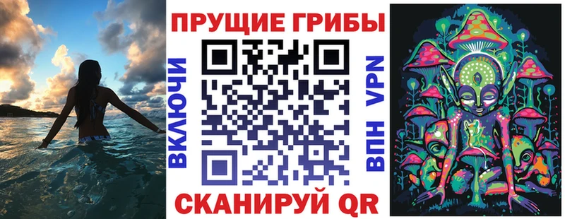 цена   Рузаевка  Галлюциногенные грибы GOLDEN TEACHER 