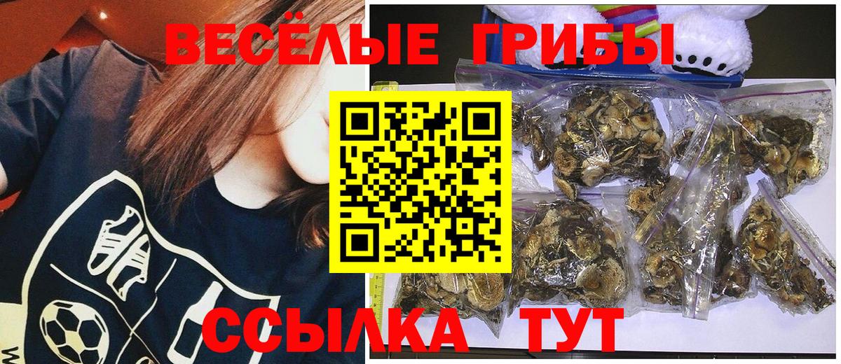 Рузаевка  Галлюциногенные грибы Psilocybine cubensis  Псилоцибиновые грибы мицелий  Вход с VPN 